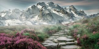 Czy w koszykówce można zrobić kroki?