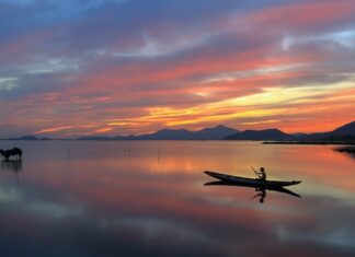 Jak łowić na czerwonego robaka?