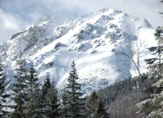 Czy Gerlach robi dobre noże? Czy Gerlach robi dobre noże?