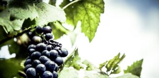 Jak zamontować lokalizator GPS w samochodzie?