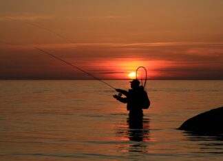 Jak łowić jazie z gruntu?