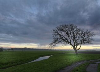 Co jest pod Rowem Mariańskim?