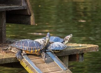 Jak przechowywać rzeczy na plaży?