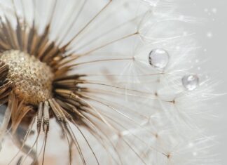 O co chodzi w dropie butów?