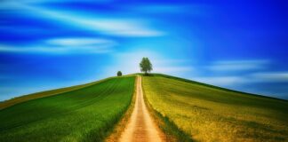 Co daje chodzenie po ciepłych kamieniach?