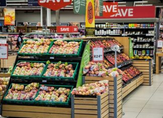 Na co zwrócić uwagę przy zakupie namiotu?