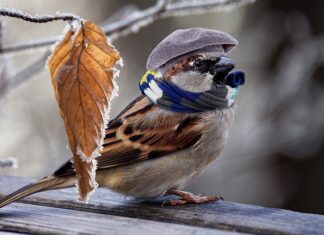 Jak tanio ogrzać pomieszczenie?