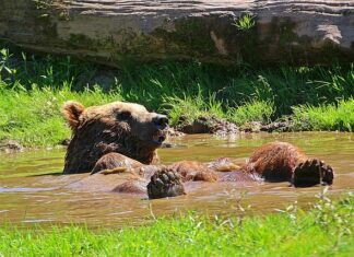 Jak się odświeżyć bez prysznica?
