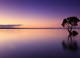 Ile kosztuje butelka wody w Szwajcarii?