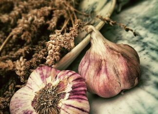 Czy czosnek wabi ryby?