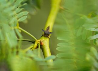 Co to jest pełny lej? Co to jest pełny lej?
