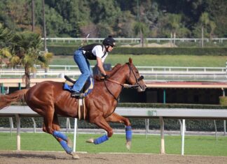 Jak oszukać GPS w samochodzie służbowym?