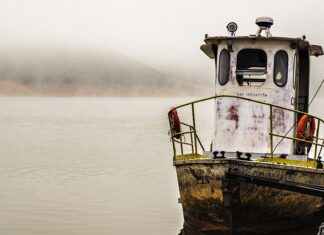 Czym różni się jaz od klenia?