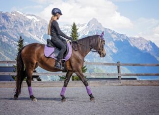 Czy bez prawa jazdy można jeździć hulajnogą elektryczną?