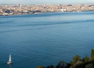 Czy AirTag działa w lesie?