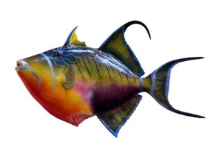 Jak złowić dużą rybę?