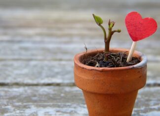 Jak rozciągnąć buty do tańca?