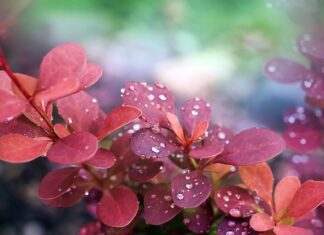 Dlaczego w namiocie jest mokro?