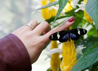 Czy da się wspinać z długimi paznokciami? Czy da się wspinać z długimi paznokciami?