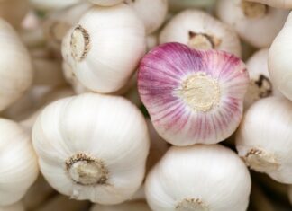 Co to jest Taperowana główka?