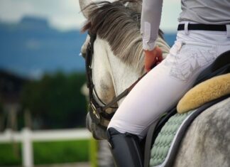 Po co są bryczesy? Po co są bryczesy?