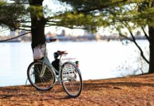 Bezpieczeństwo i ergonomia jazdy rowerem