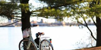 Bezpieczeństwo i ergonomia jazdy rowerem